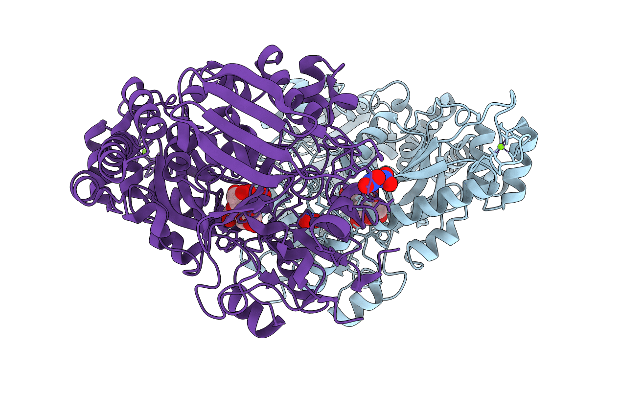 4PFT image