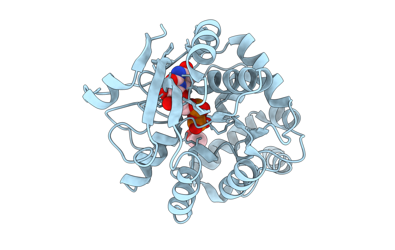 4PFX image