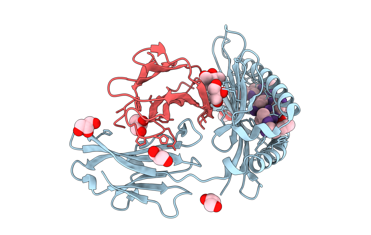4PGE image