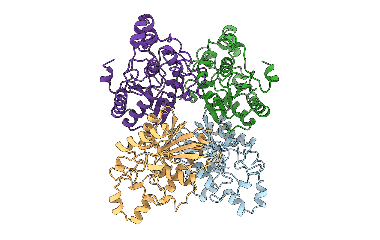 4pgm image