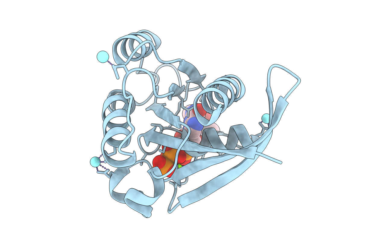 4PHG image