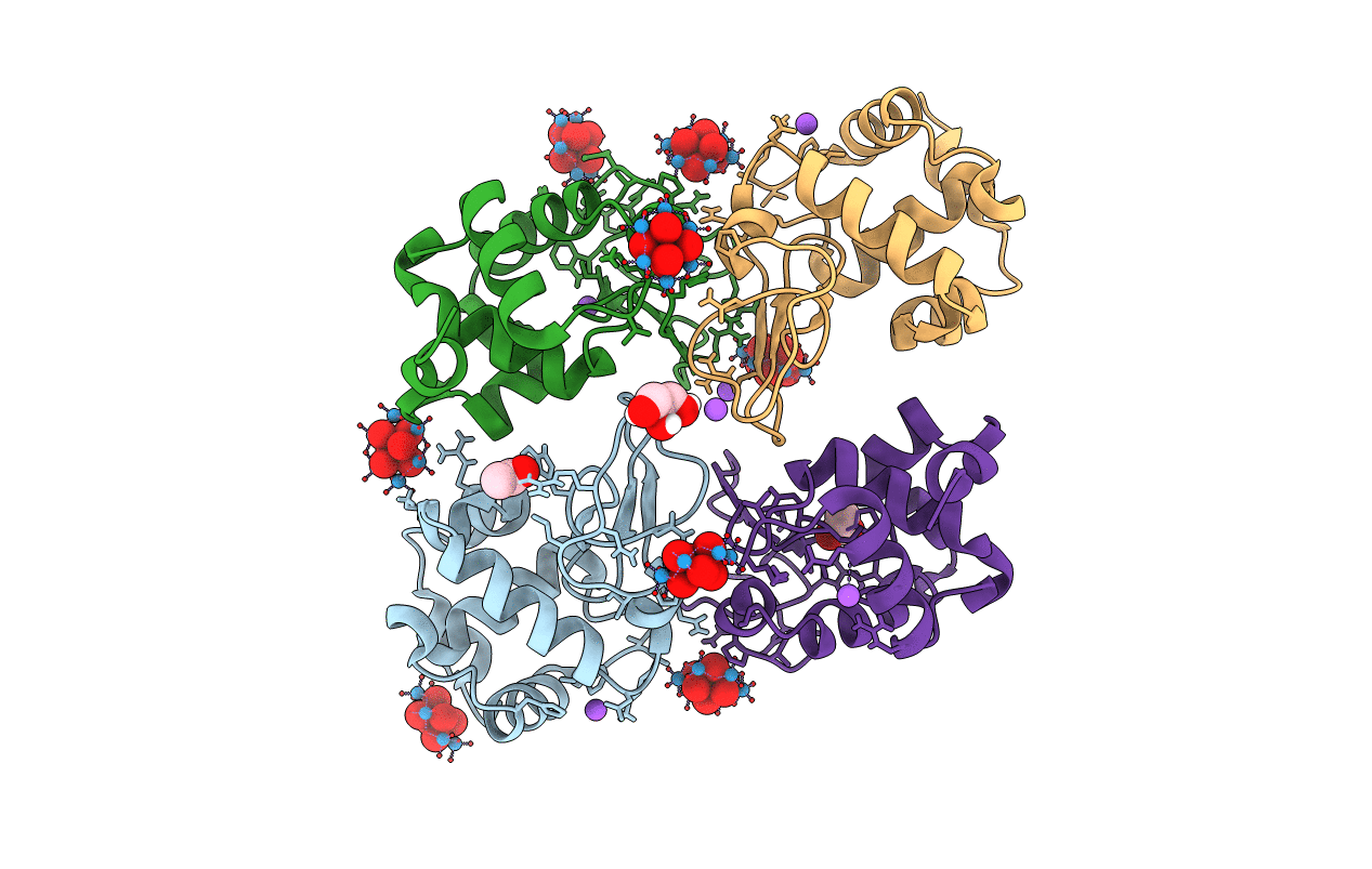 4PHI image