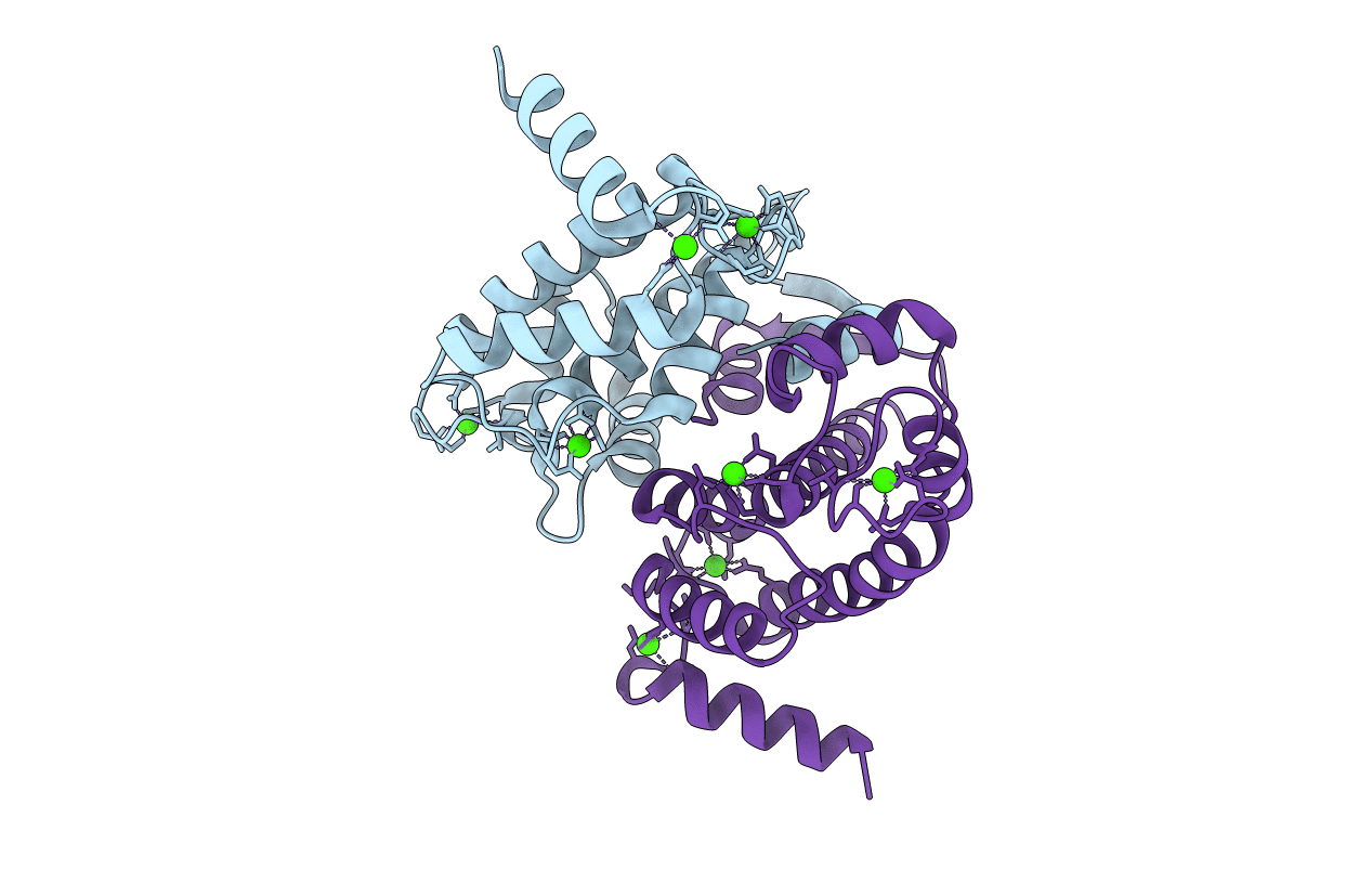 4PHN image