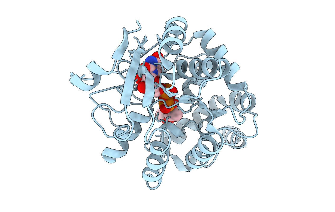 4PHR image