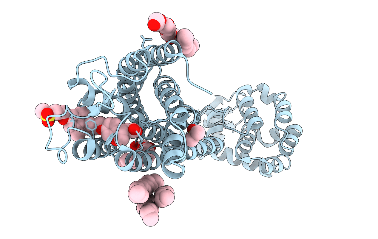 4PHU image