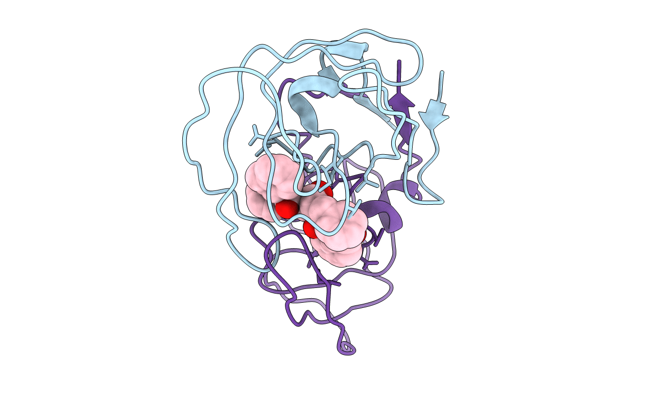 4PHV image