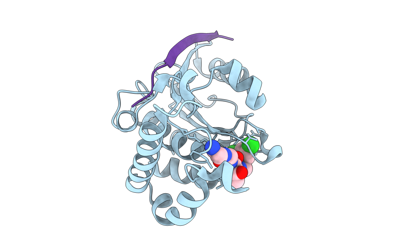 4PIQ image