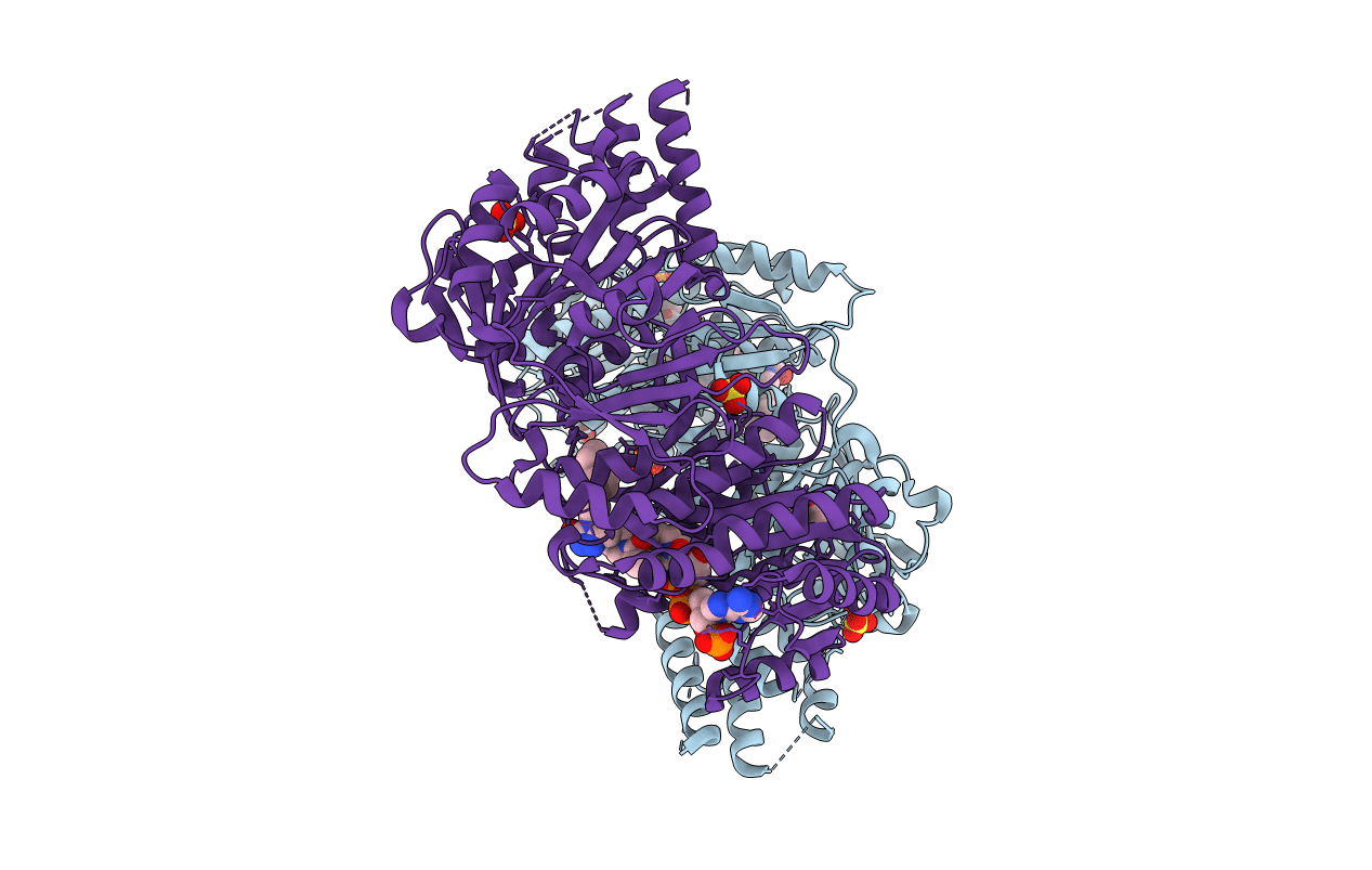 4PIV image