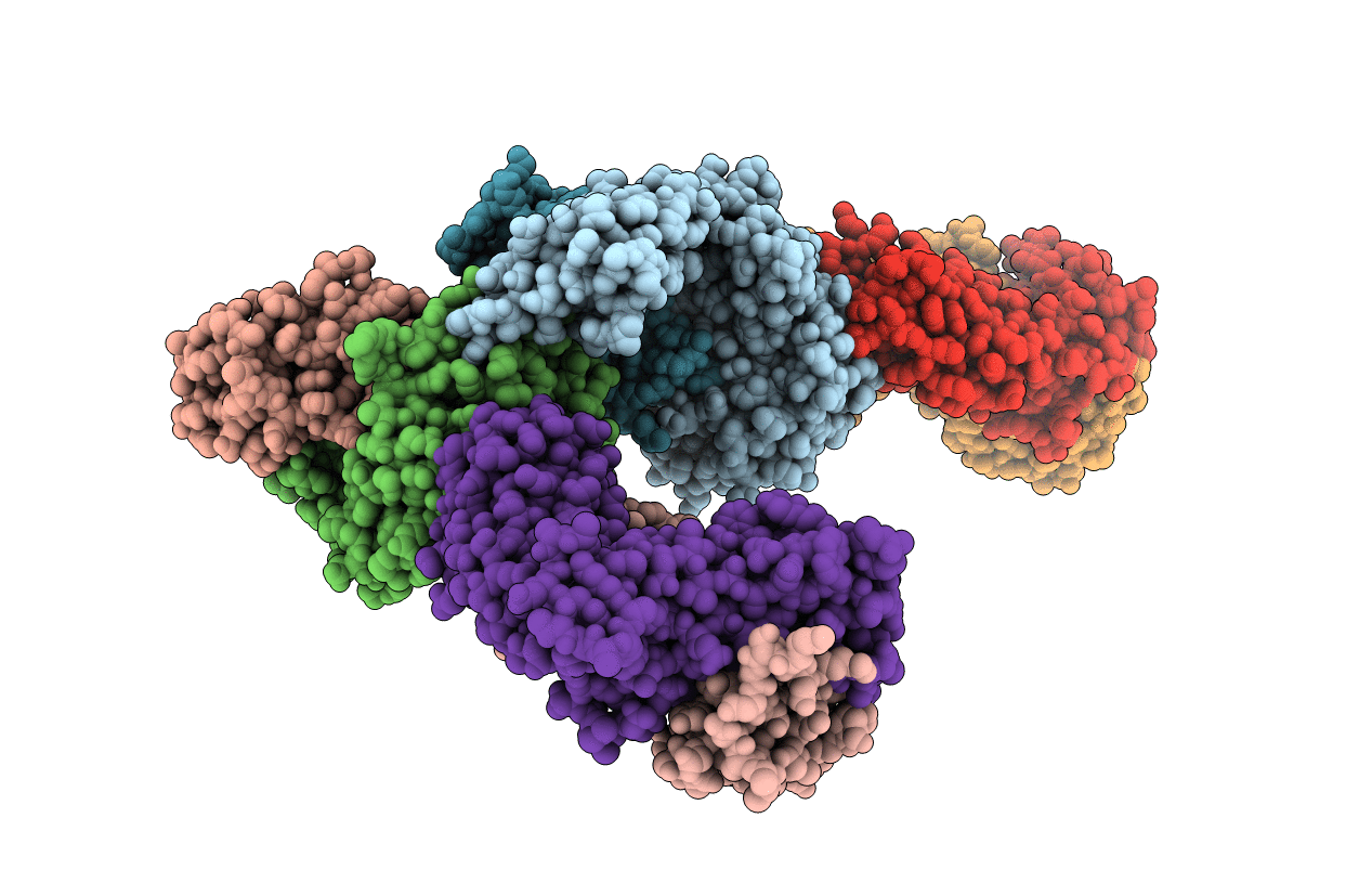 4PJC image