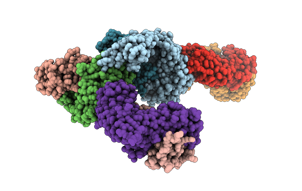 4PJX image