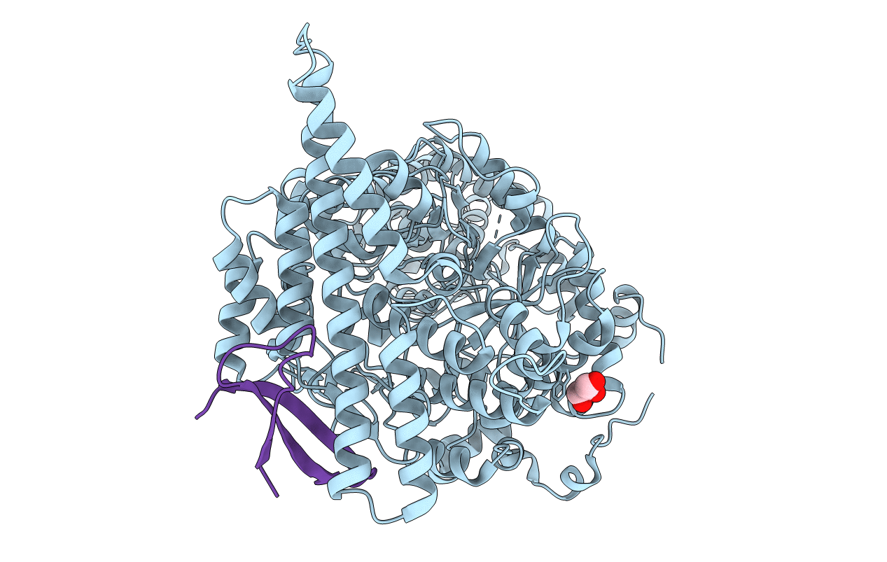 4PKC image
