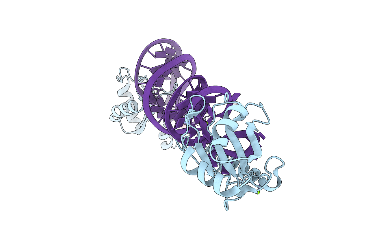 4PKD image