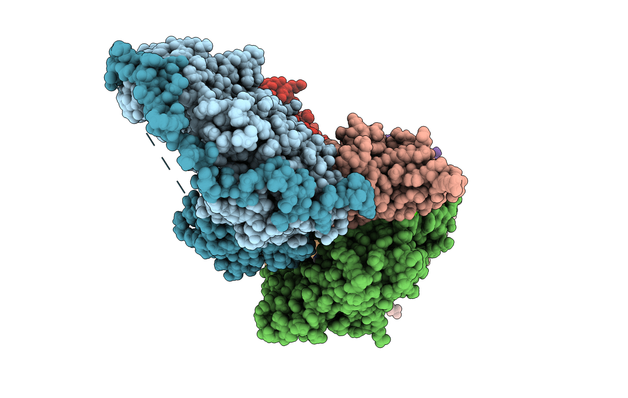 4PKH image