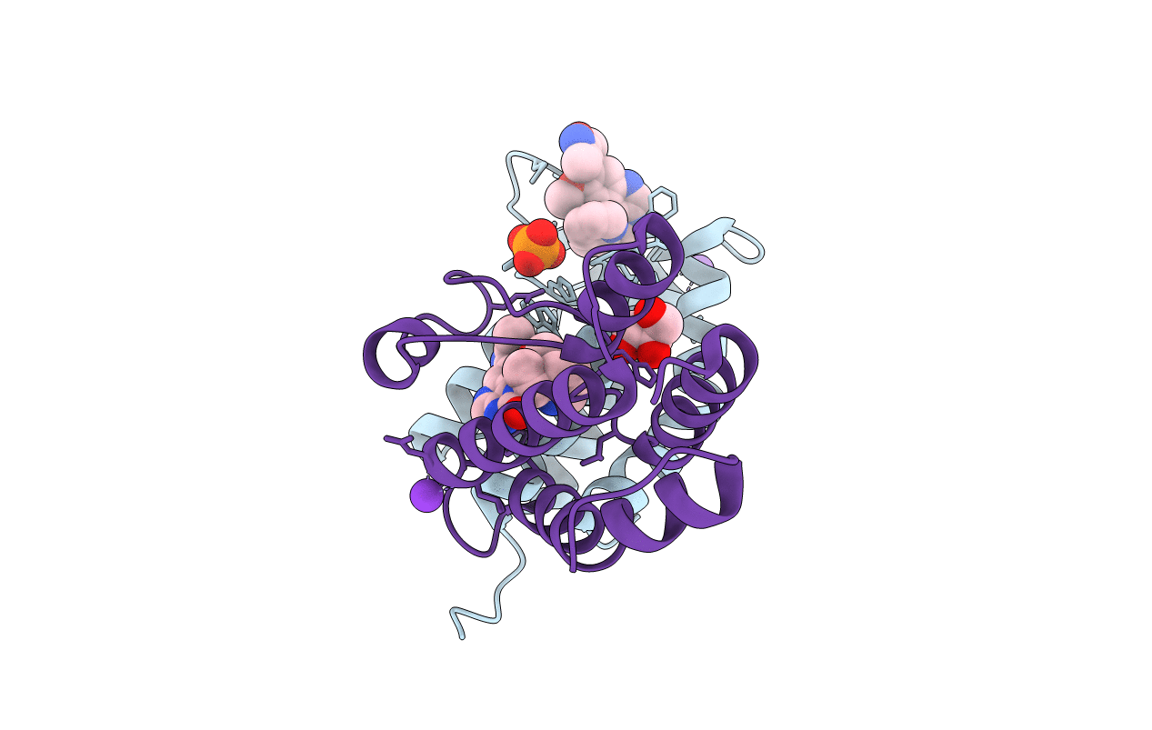 4PKL image