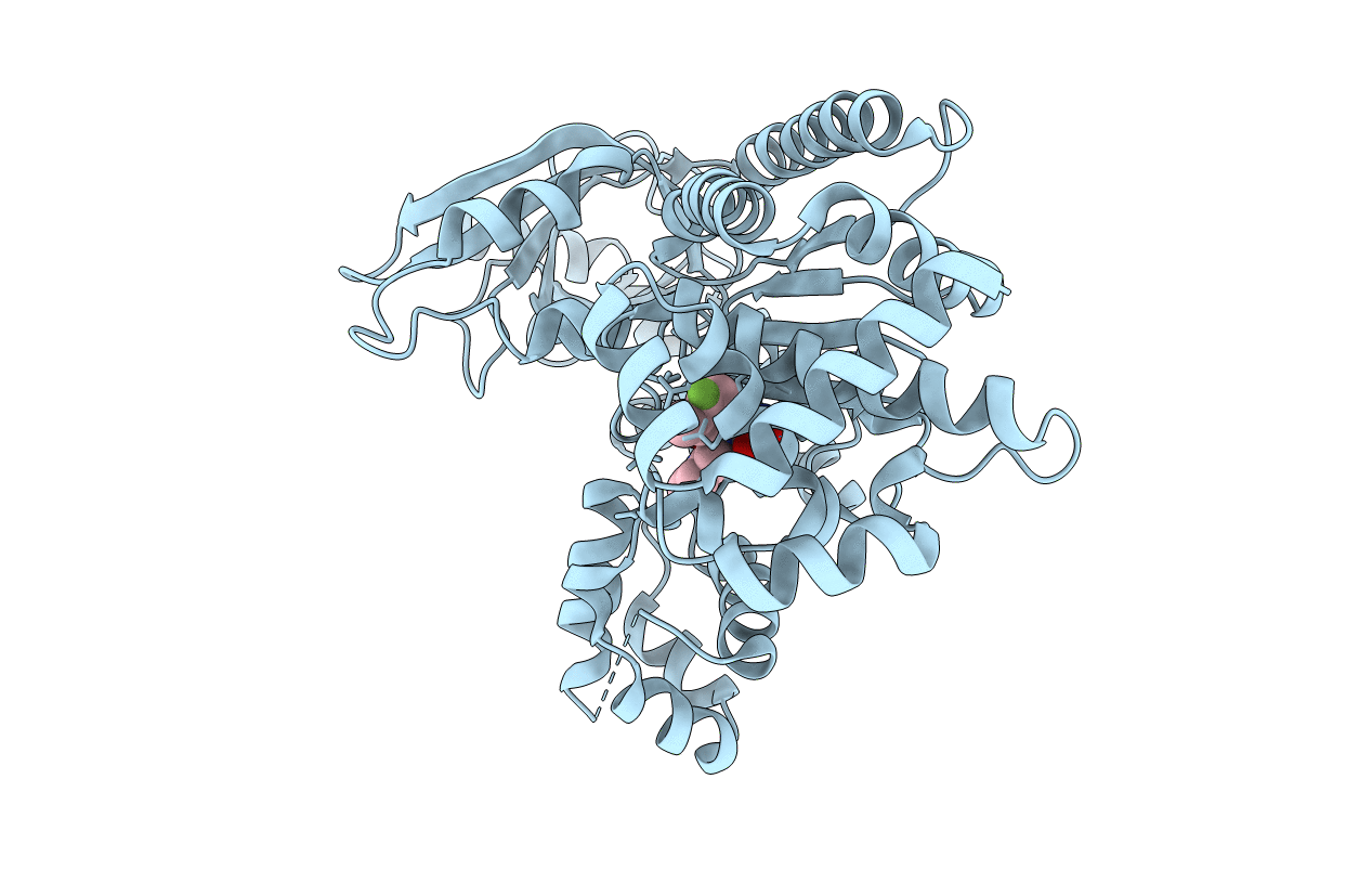 4PKU image