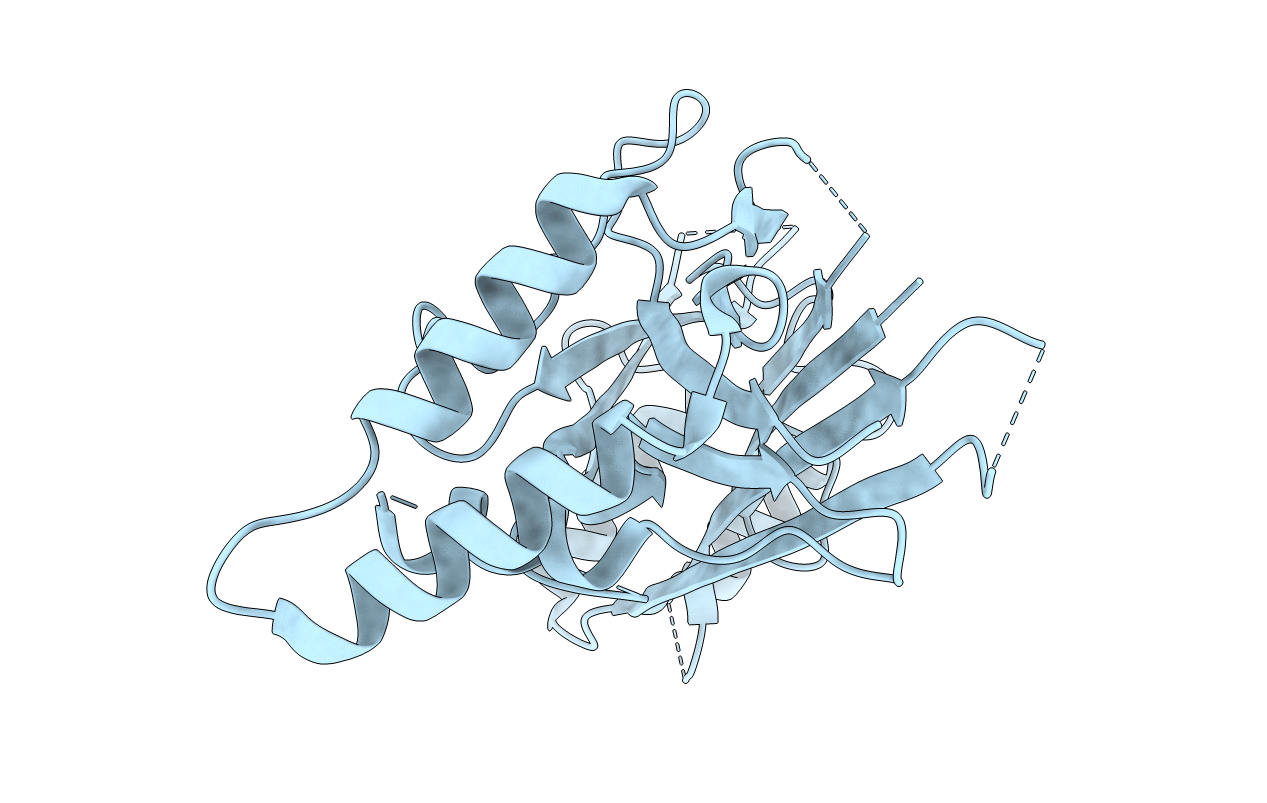 4PKX image
