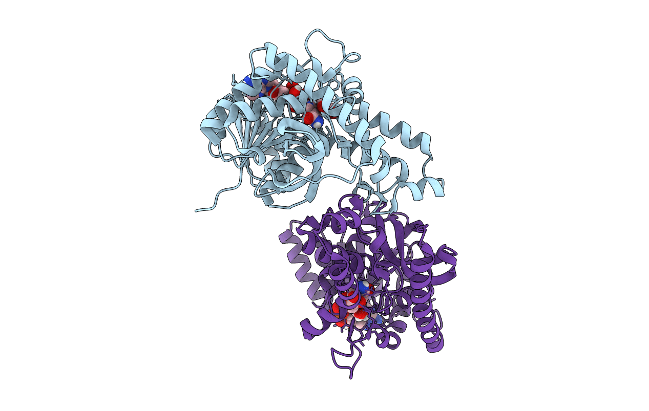 4PLF image