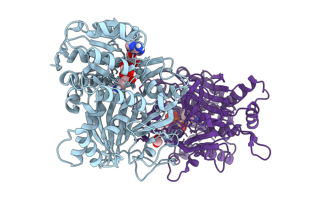 4PLP image