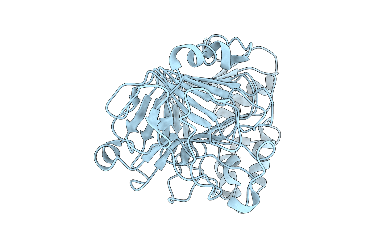 4PMH image