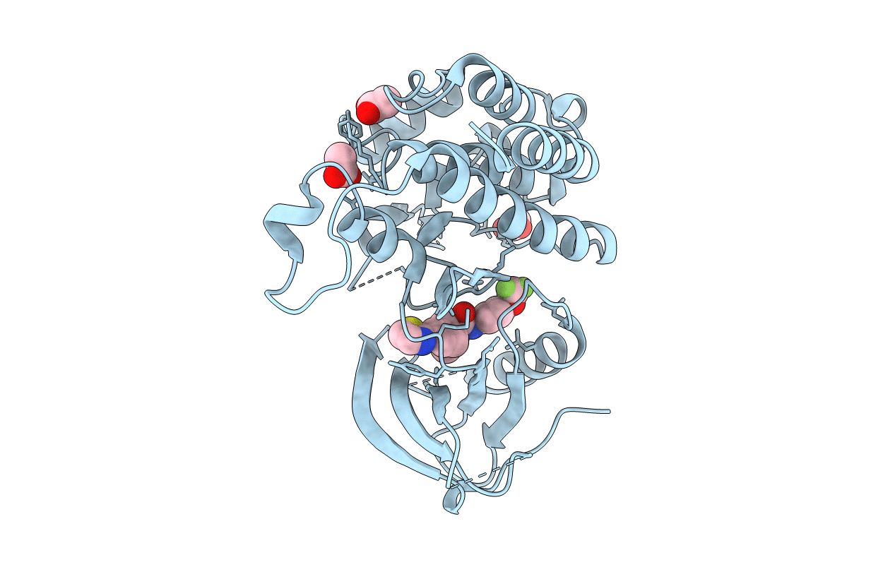 4PMP image