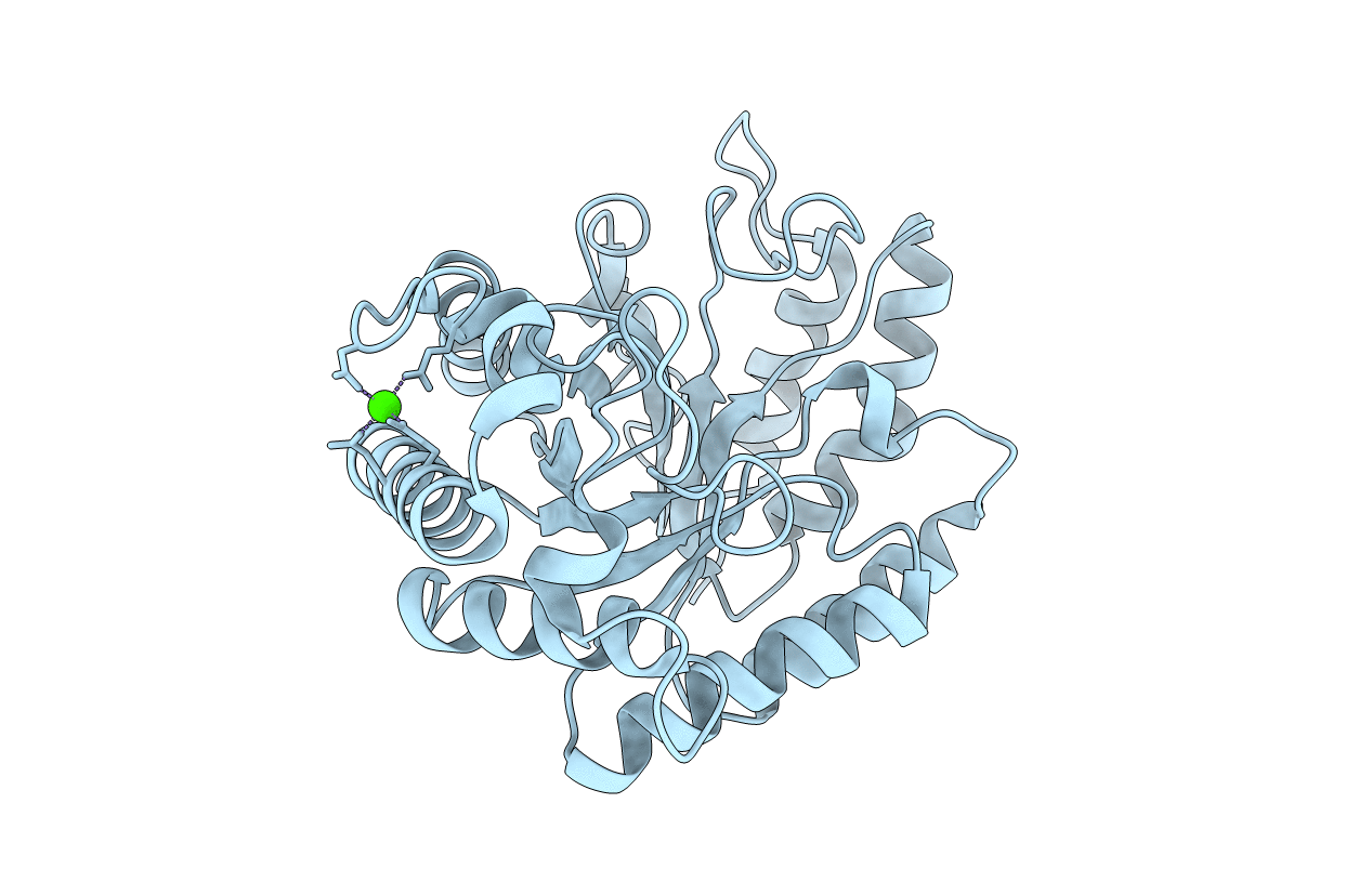 4PMX image