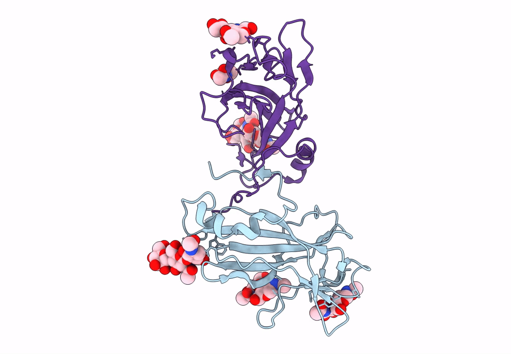 4PN6 image