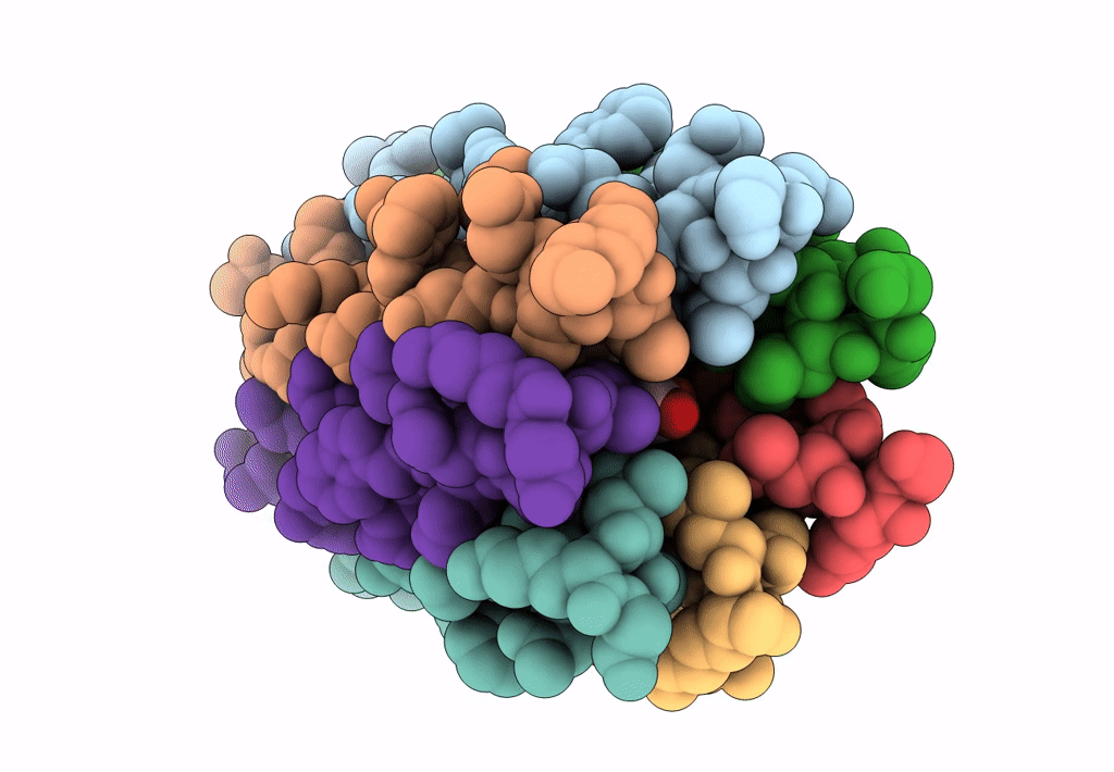 4PNA image