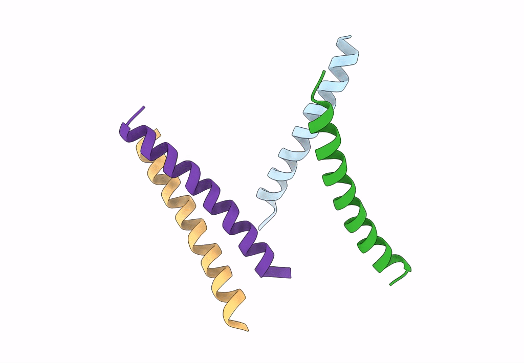 4PNB image