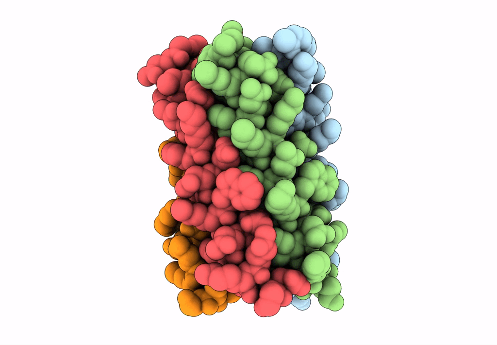 4PND image