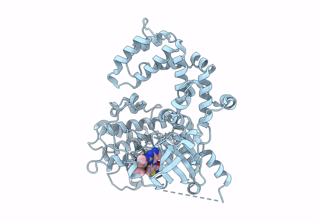 4PNI image