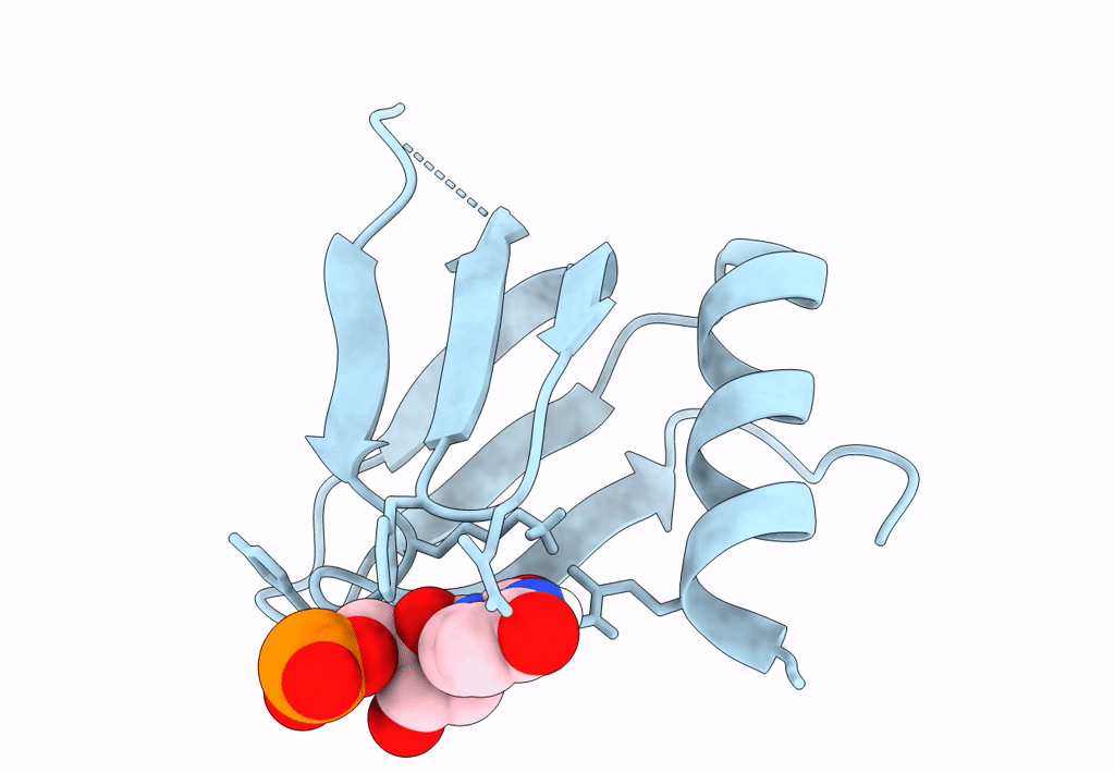 4PNO image