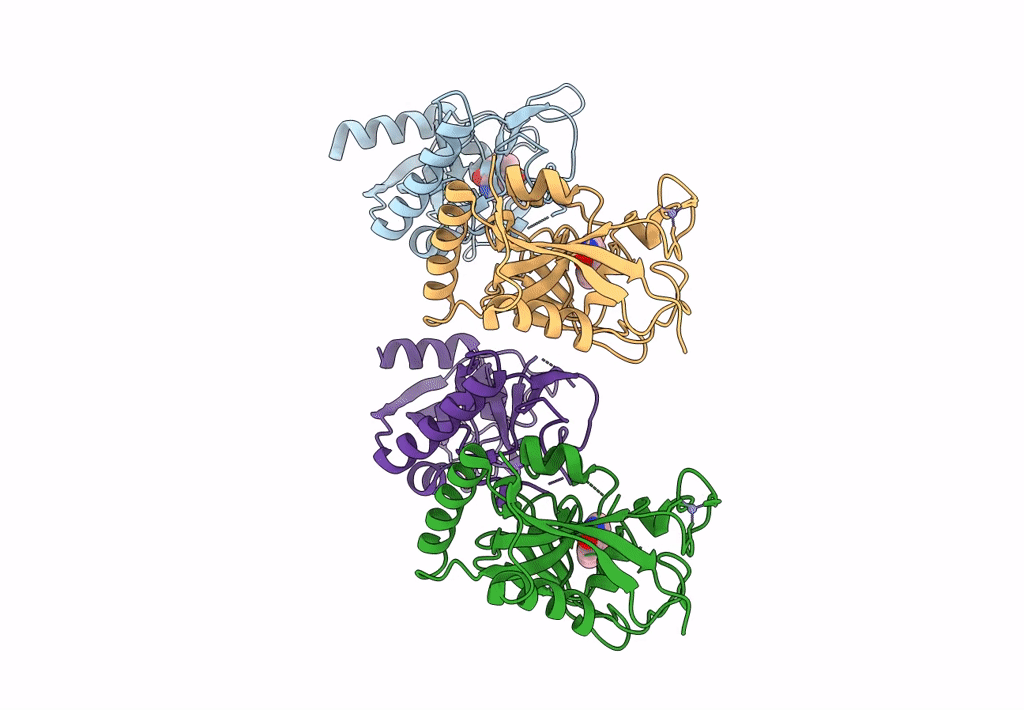 4PNT image