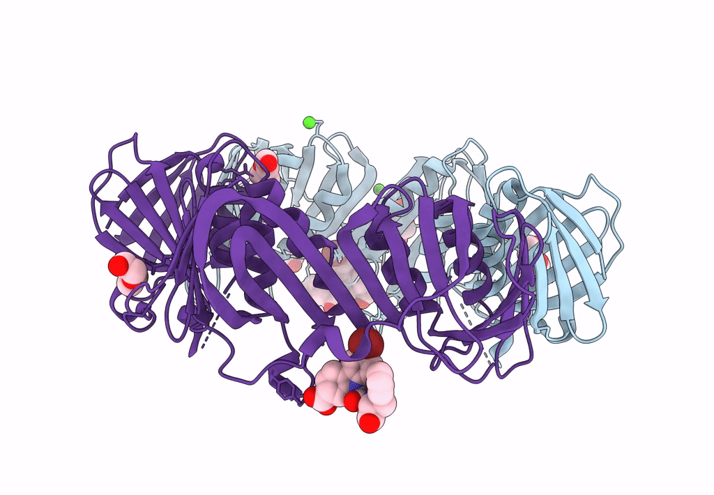 4PNU image