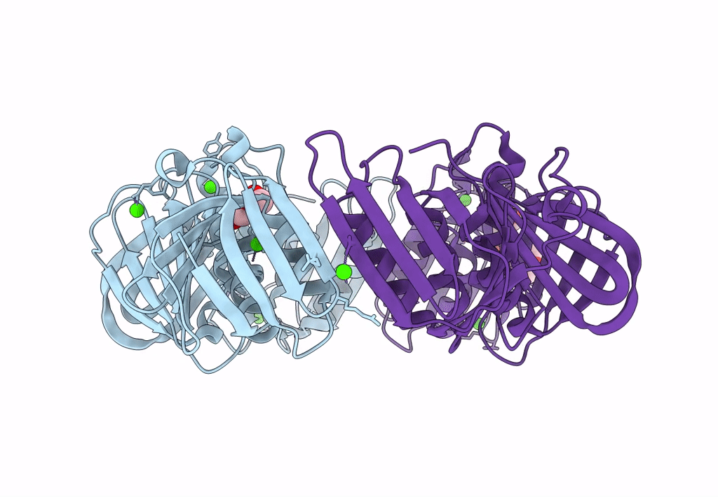 4PNV image