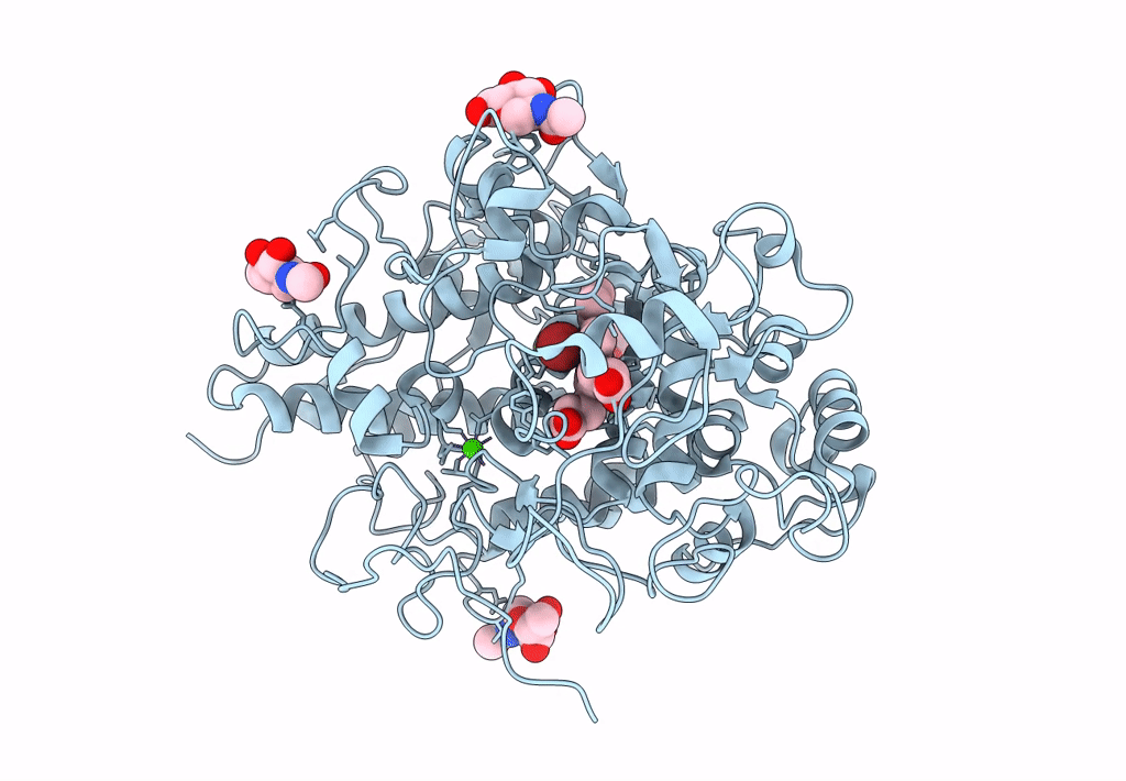 4PNX image
