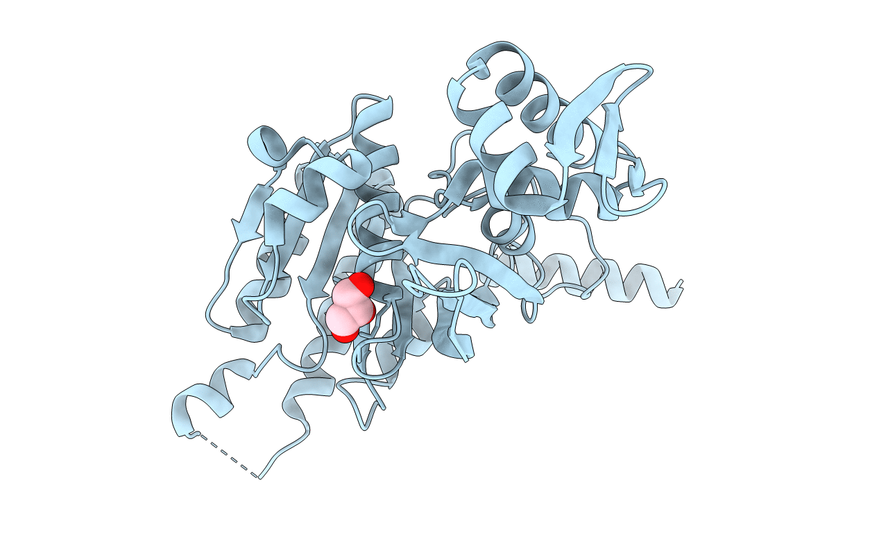 4PO1 image