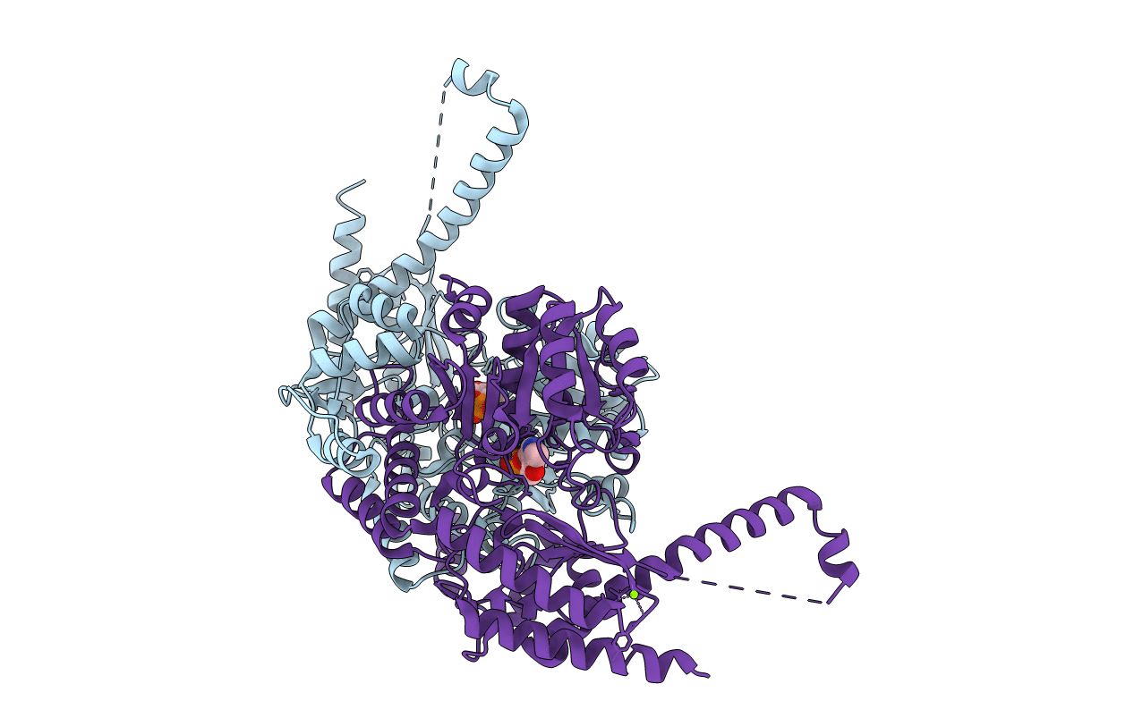 4PPM image