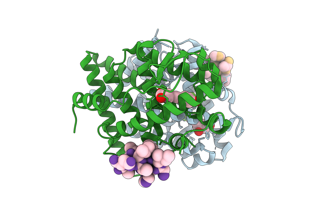 4PPP image