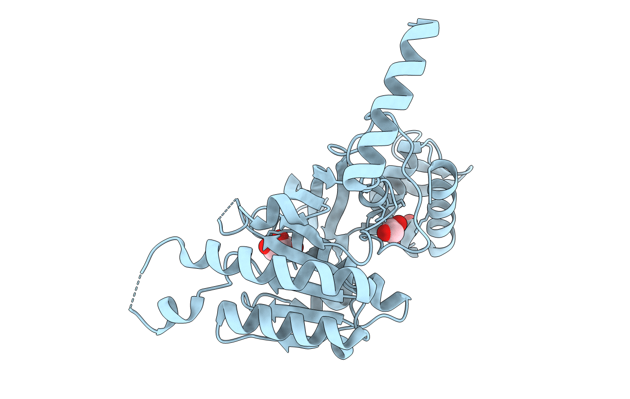 4PQF image
