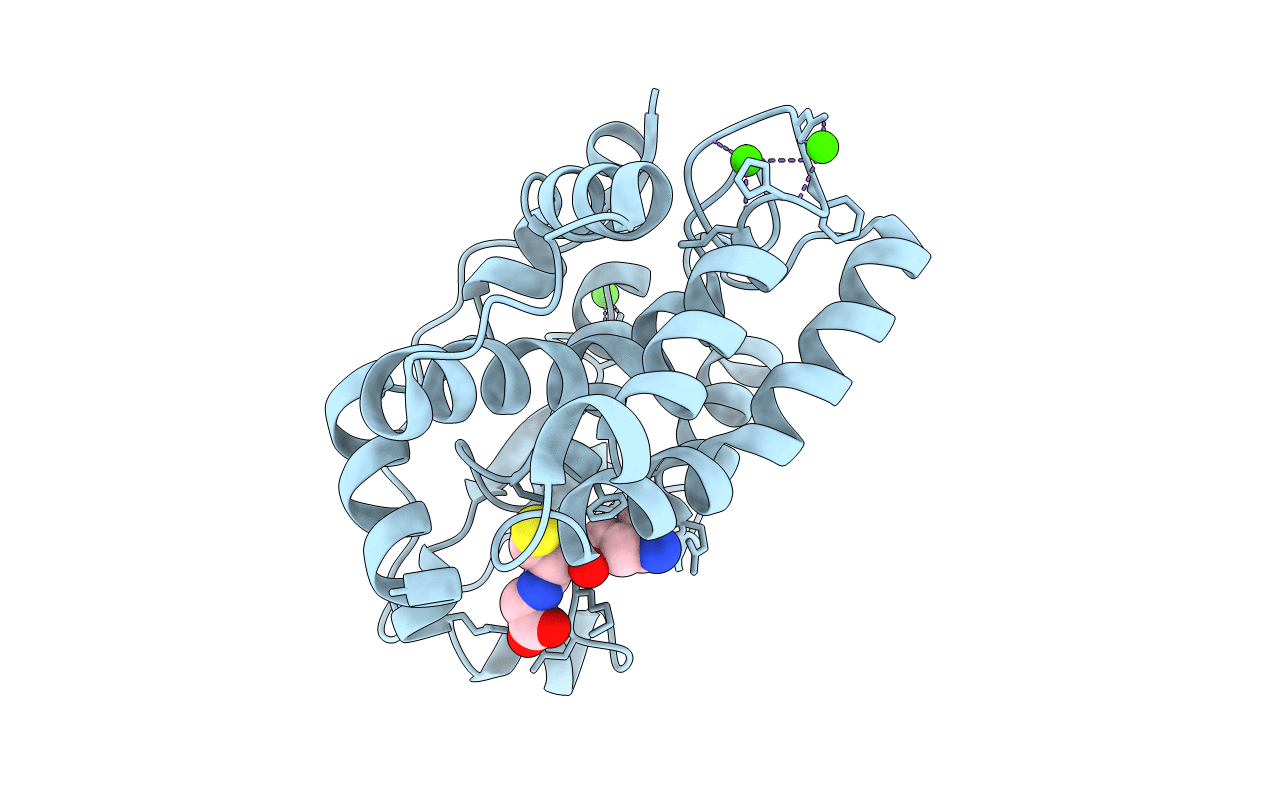 4PQI image