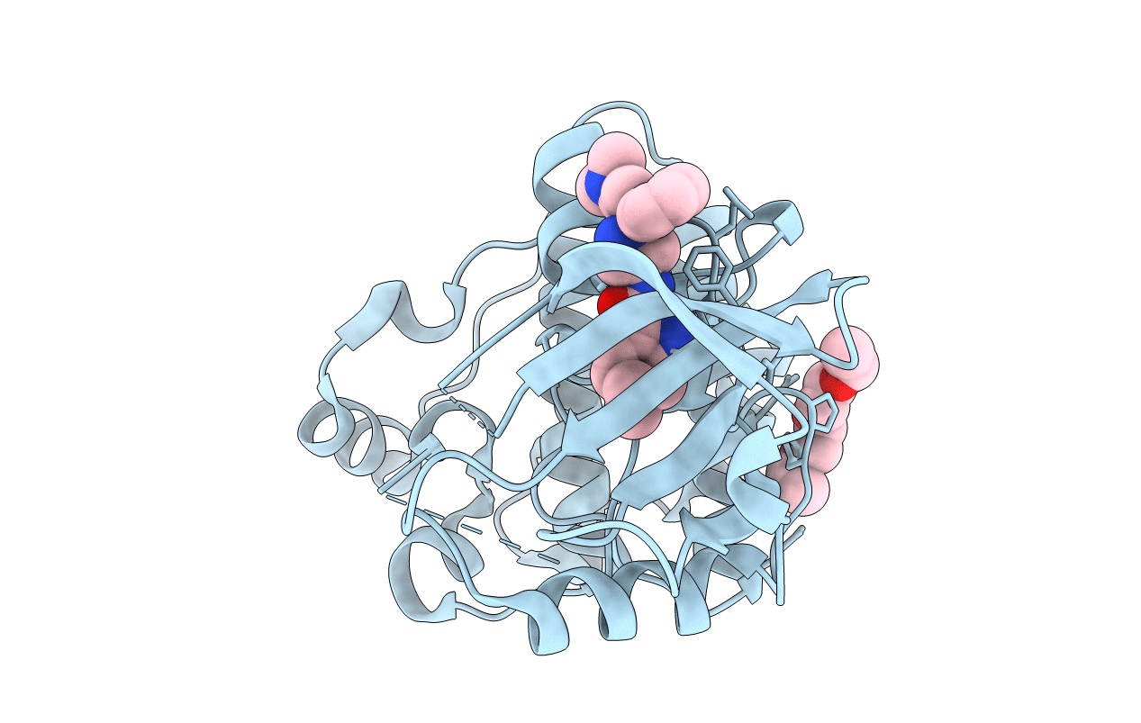 4PQN image