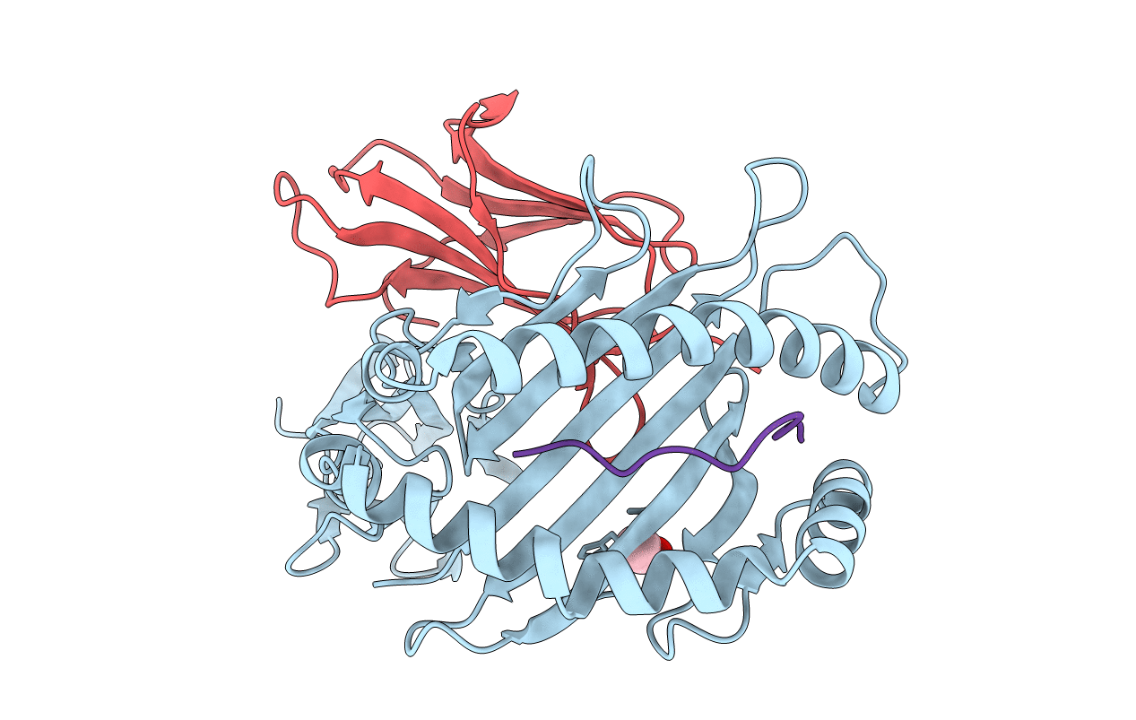 4PRB image