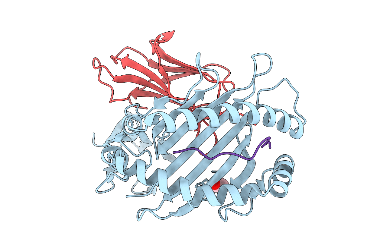 4PRD image