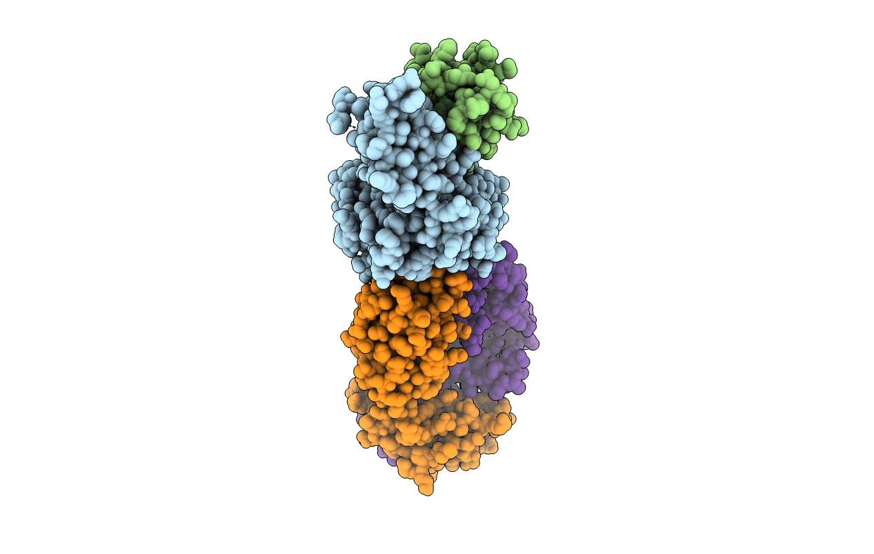 4PRH image
