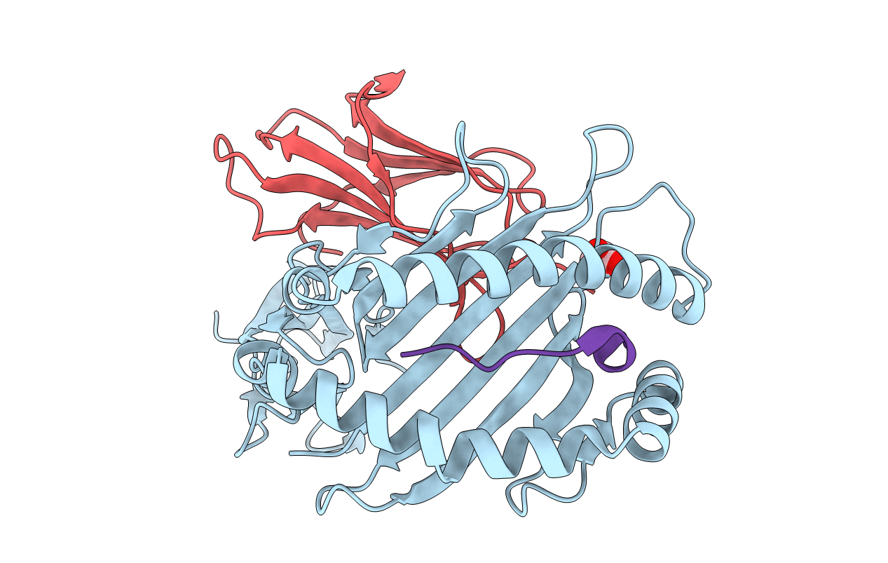 4PRN image