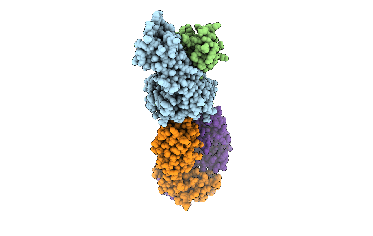 4PRP image