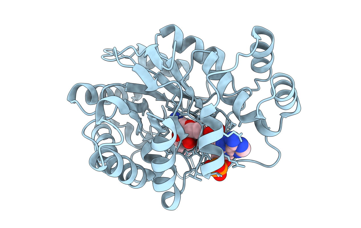4PRR image
