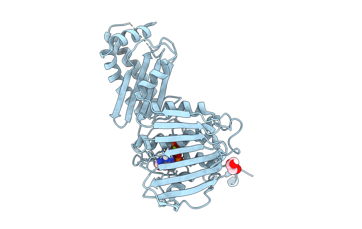 4PRX image