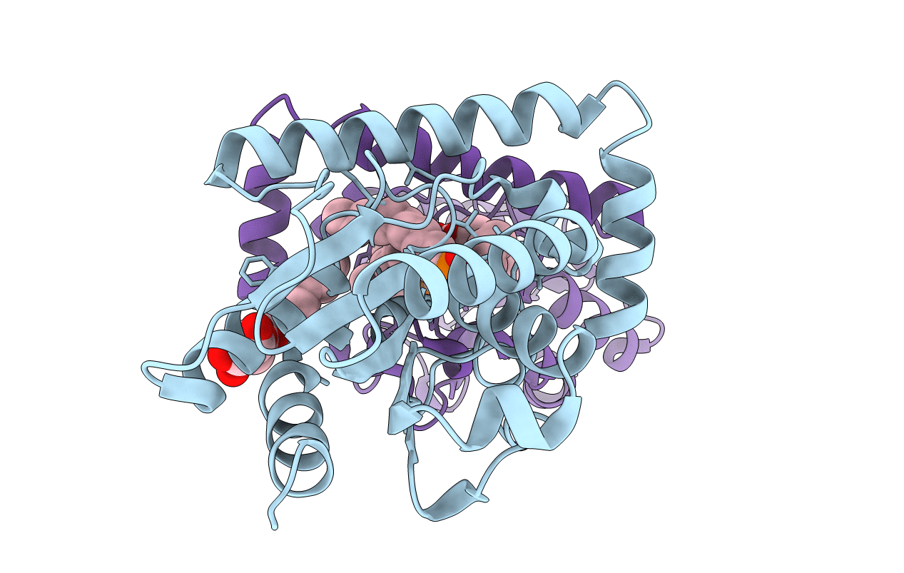 4PSE image