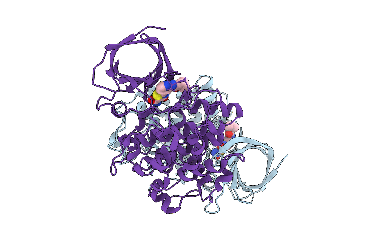 4PTC image